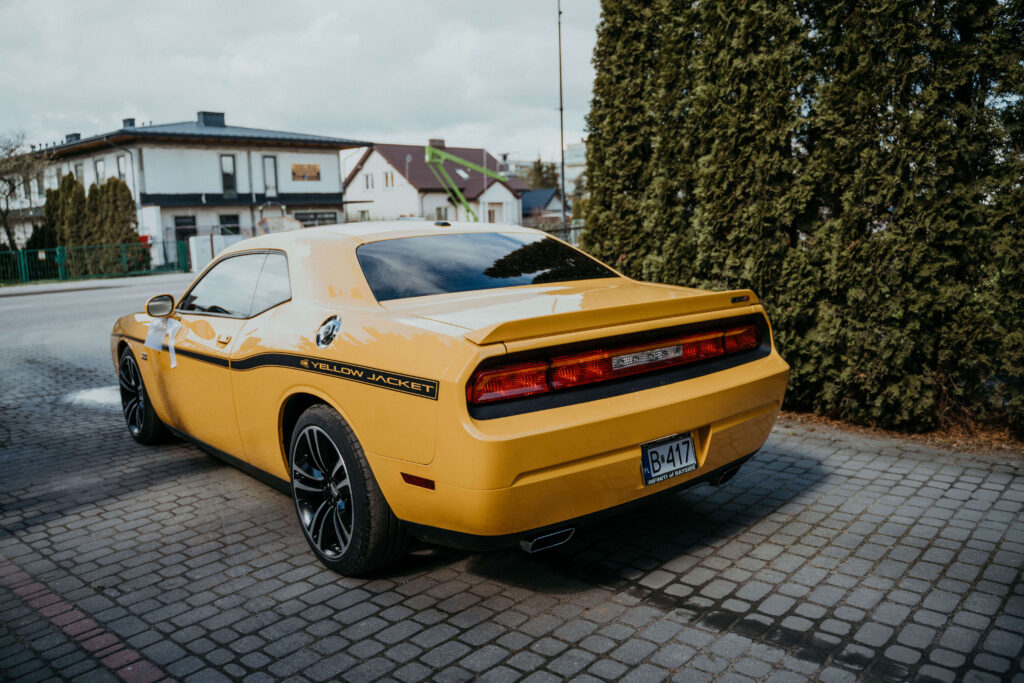 Fotograf wysokie mazowieckie